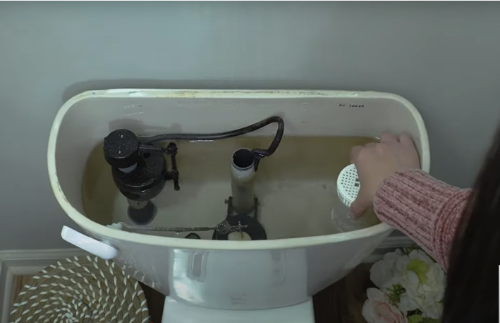 easy clean toilet cleaner